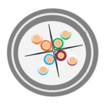 Derwiser CAT 6A Armored Cable